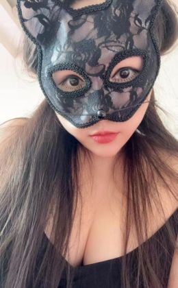 朝阳炮架子小猫咪