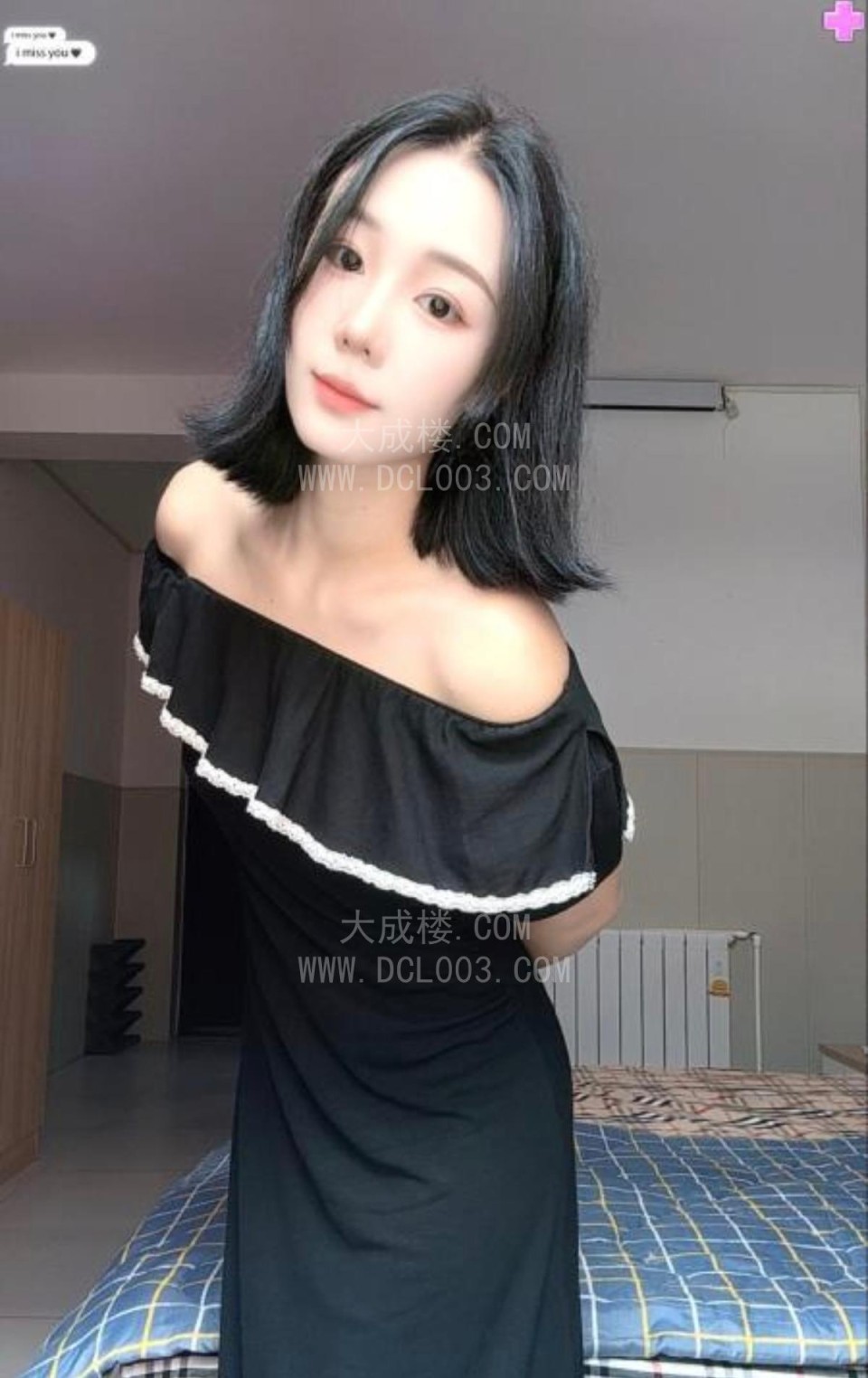 青岛洋洋回来啦