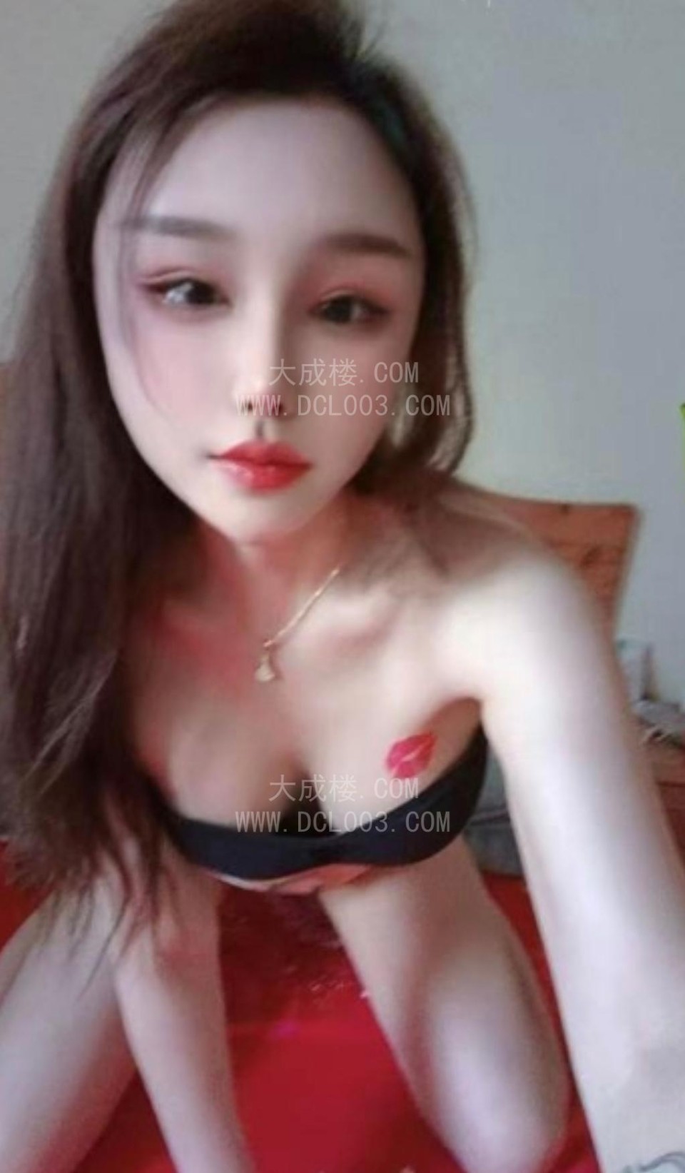 成华SM丹丹